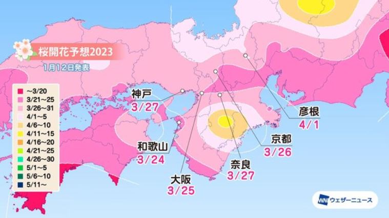 2023關西(近畿)地區預計開花日期