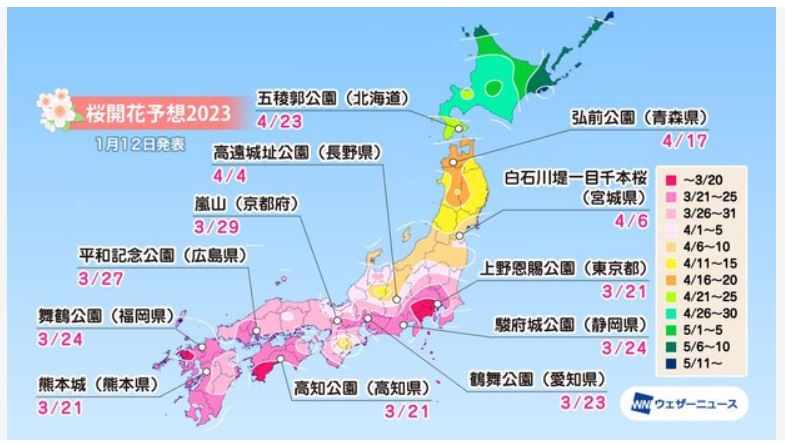 日本櫻花季 2023預測，3~4月櫻花盛開期間